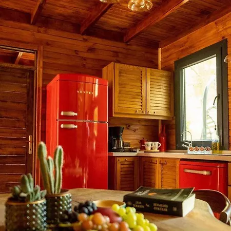 Panurla Wooden House Havuz & Sauna Kirmizi 4* Urla
